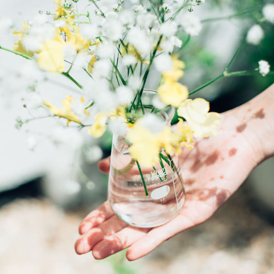 HARIO H-32 ライフスタイル・ラボ コニカルビーカー 100ml CB-100-H32 ハリオ