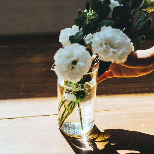 HARIO H-32 ライフスタイル・ラボ ビーカー 500ml TB-500-H32 ハリオ