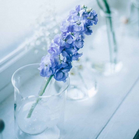 HARIO H-32 ライフスタイル・ラボ ビーカー 200ml B-200-H32 ハリオ