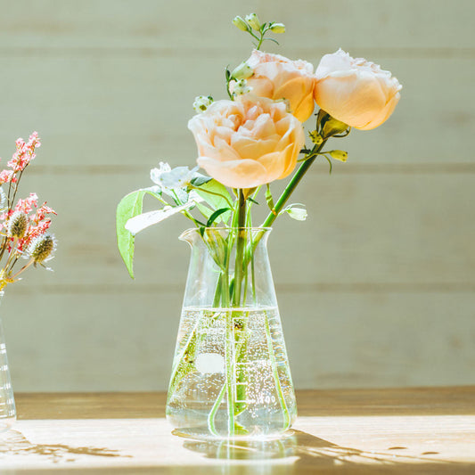 HARIO H-32 ライフスタイル・ラボ コニカルビーカー 300ml CB-300-H32 ハリオ